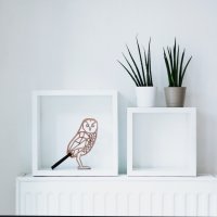 owl to put up