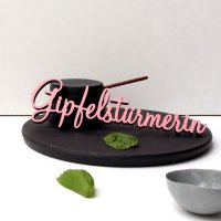 Gipfelst&uuml;rmerin