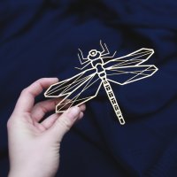 dragonfly