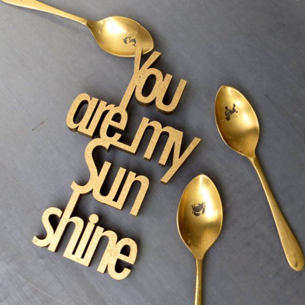 You are my Sun shine - Klein