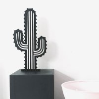 cactus with spines