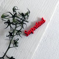 Superkind