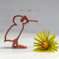 bird