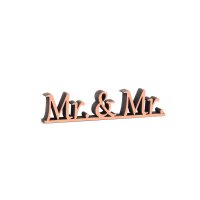 Mr. &amp; Mr.
