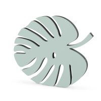 Monstera