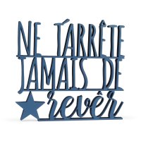 ne tarr&ecirc;te jamais de rev&ecirc;r