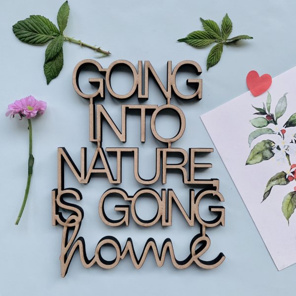 Going into nature is going home