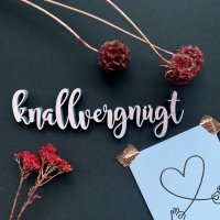 knallvergn&uuml;gt