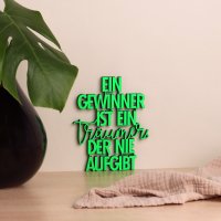 Ein Gewinner ist ein Tr&auml;umer der nie aufgibt