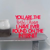 You are the best thing I have even found on the internet
