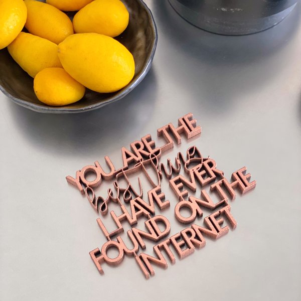 You are the best thing I have even found on the internet