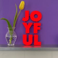 JOYFUL