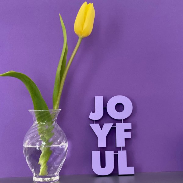 JOYFUL