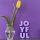 JOYFUL