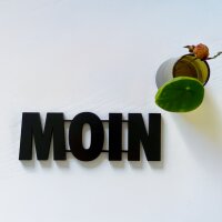 Moin
